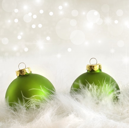 WARME KERSTGROETEN VAN ONS TEAM!